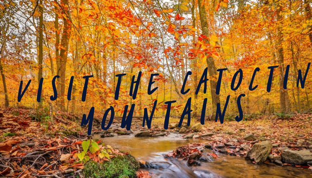 Fall Visit to Catoctin Mountains
