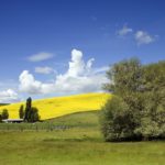 Garden Valley Idaho Real Estate Garden Valley Idaho Real Estate