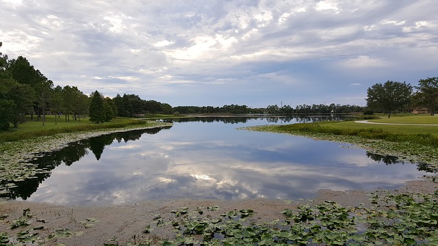 Ocala Florida Real Estate Ocala Florida Real Estate