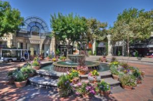 walnut_creek_guide-482x320