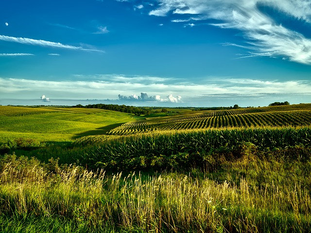 Waverly Iowa Real Estate Waverly Iowa Real Estate