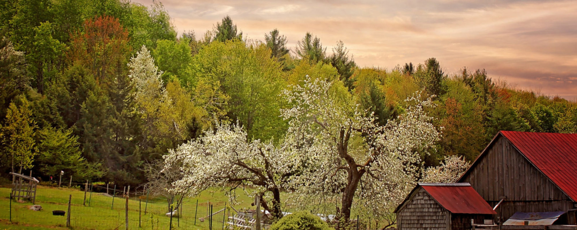 Stowe Vermont Real Estate Stowe VT Homes For Sale Search For Homes