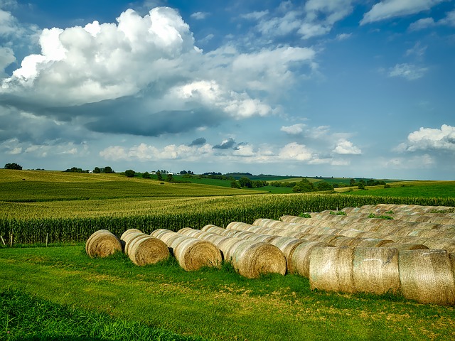 Toledo Iowa Real Estate Toledo Iowa Real Estate