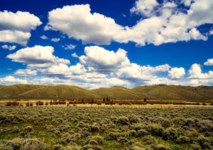 Fort Collins Colorado Real Estate Fort Collins Colorado Real Estate