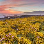 Fillmore CA Homes Filmore CA Homes