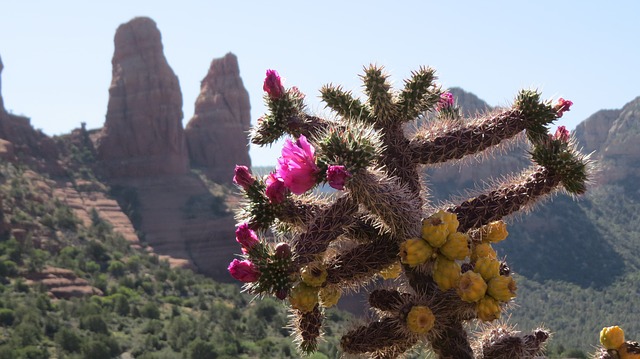 Bisbee AZ Homes for Sale Bisbee AZ Homes for Sale