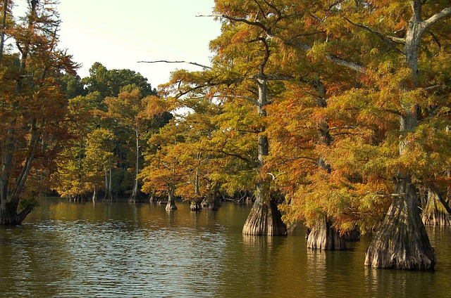 Algood Tennessee Houses Algood Tennessee Houses