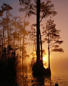 Crawfordville FL Real Estate Crawfordville FL Real Estate