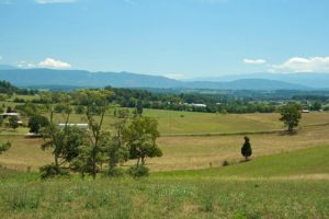 Knoxville Tennessee Real Estate Knoxville Tennessee Real Estate
