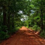 Athens Alabama Real Estate Athens Alabama Real Estate