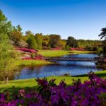 Athens Alabama Real Estate Athens Alabama Real Estate