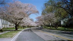 Crofton Maryland Homes for Sale