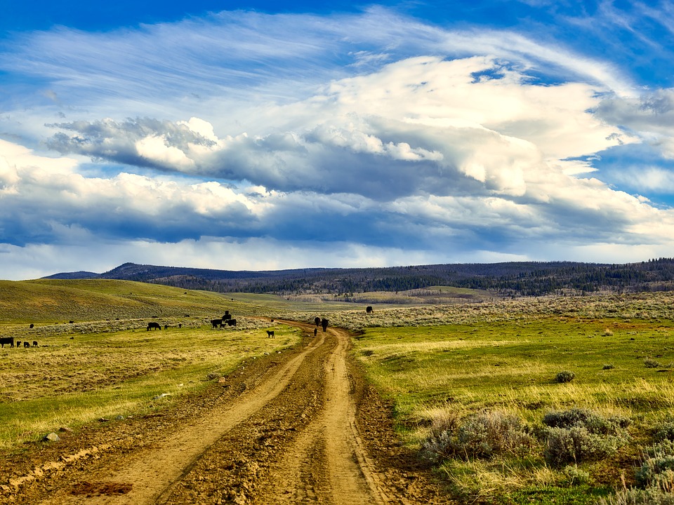 daniel wyoming real estate pinedale properties inc
