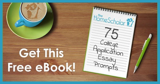 College admission essay prompts review service