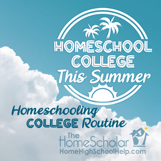 Bright blue sky with fluffy white clouds. Text overlay inside a white circle with palm tree and sun icons reads: 'Homeschool College This Summer.' Below, additional text reads: 'Homeschooling College Routine.' The HomeScholar logo and HomeHighSchoolHelp.com appear at the bottom.