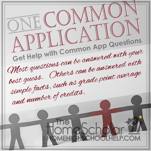 One Common Application: One Uncommonly Challenging Struggle @TheHomeScholar #Homeschool