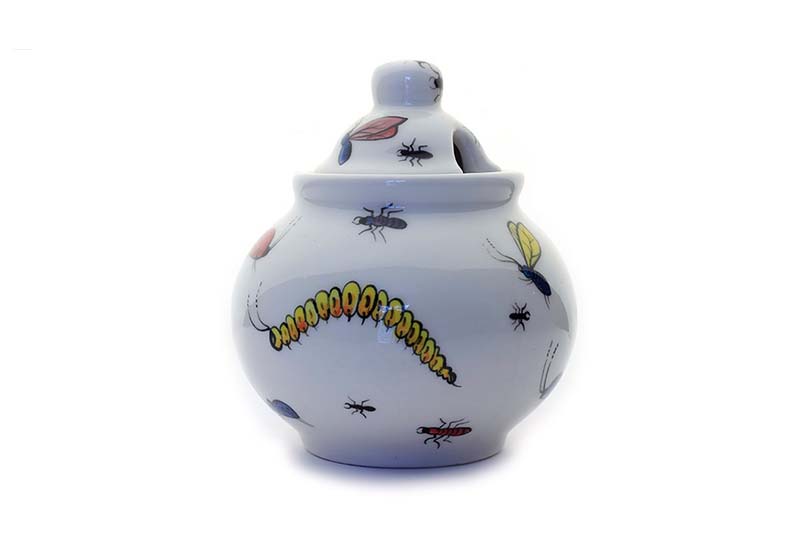Alternative view of Sugar Bowl (Beetles)