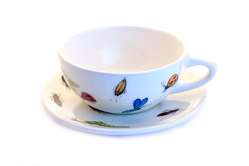 Teacup & Saucer (Beetles)