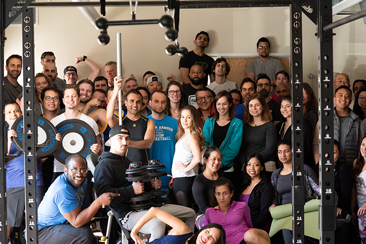Meet the Team