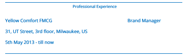 How to show Experience Section in a Resume