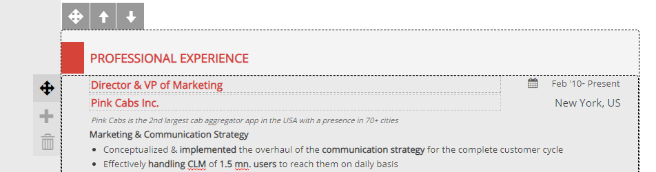 Section in Resume Maker