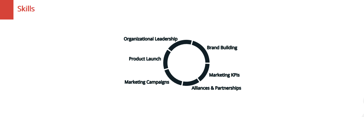 Skills Chart Resume Maker-1