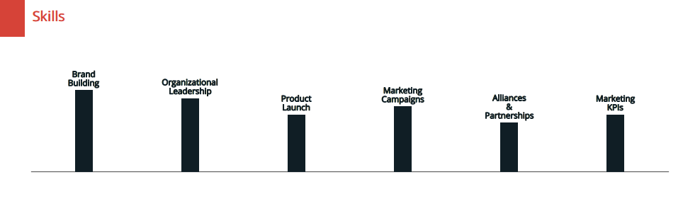 Skills Chart Resume Maker-3