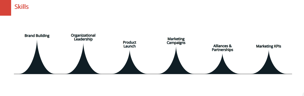 Skills Chart Resume Maker-4