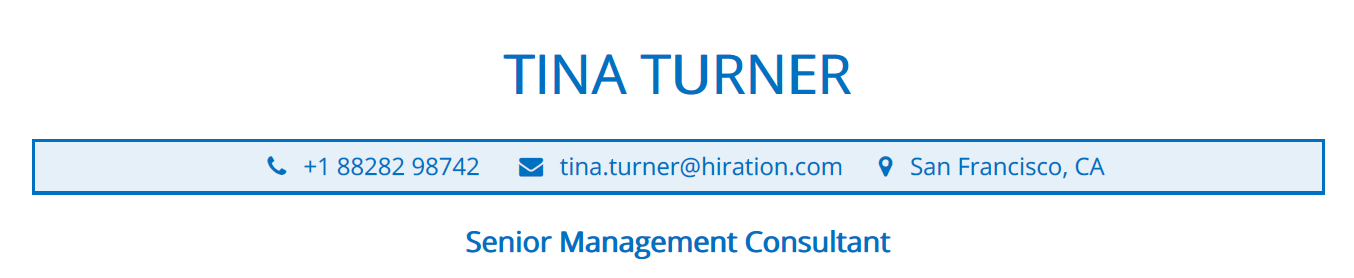 Profile Title section in a Management Consultant resume