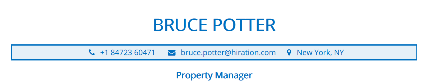 Profile Title Section in a Property Manager Resume
