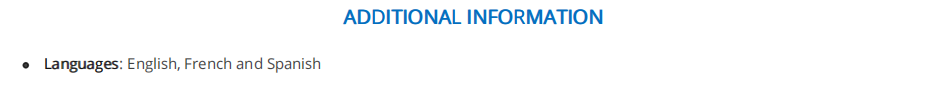 Additoinal Information Section in Construction Resume
