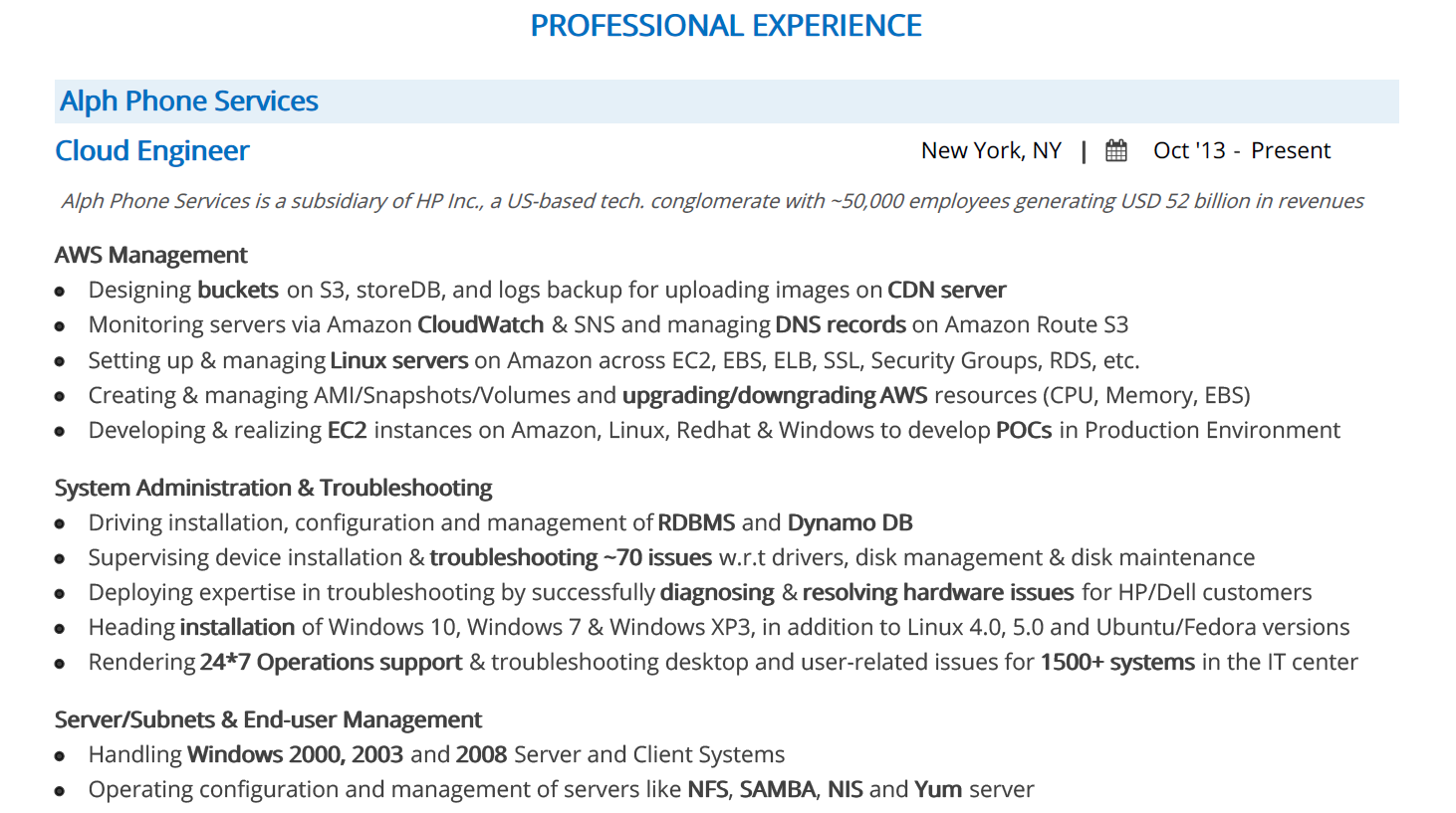 Experience Section in an IT Resume
