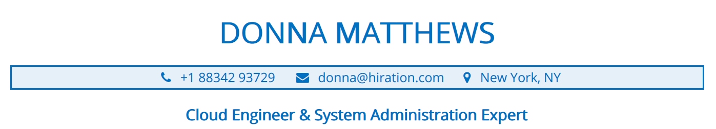 Profile Title Section in an IT Resume