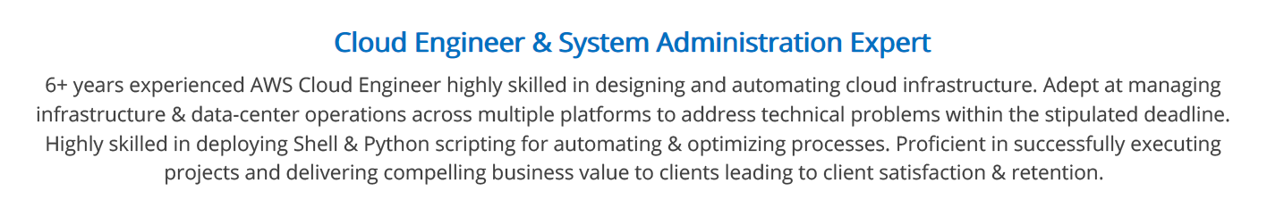 Summary Section in an IT Resume