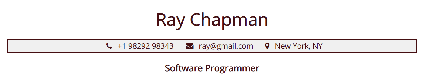 Profile Title Section in Programmer Resume