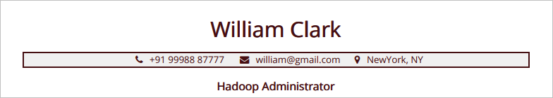 Profile Title Section in a Hadoop Resume