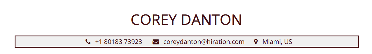 Head Section in a Sales Manager Resume