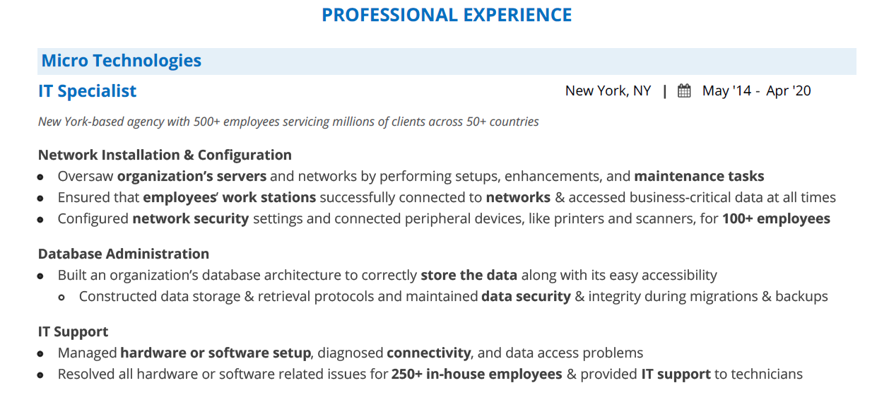 IT-Specialist-Resume-Professional-Experience