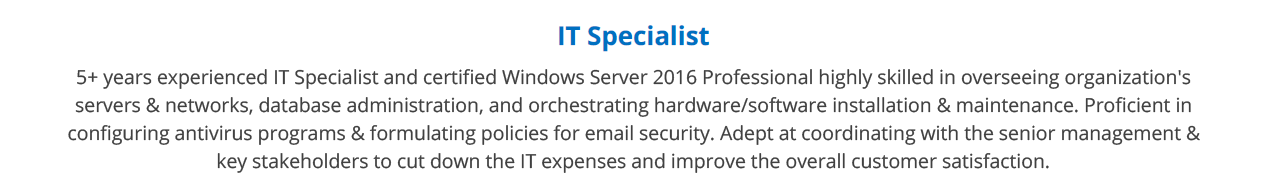 IT-Specialist-Resume-Summary