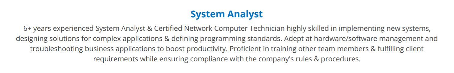 system-analyst-resume-summary