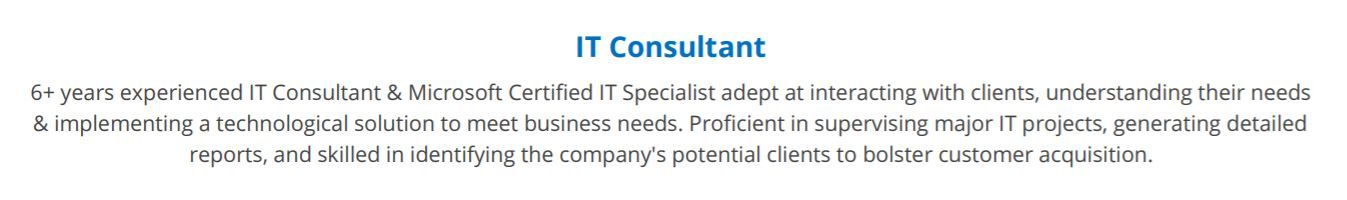 IT-consultant-resume-summary