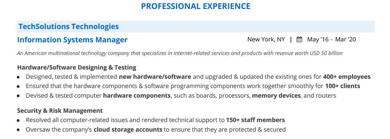 Information-Systems-Resume-Professional-Experience