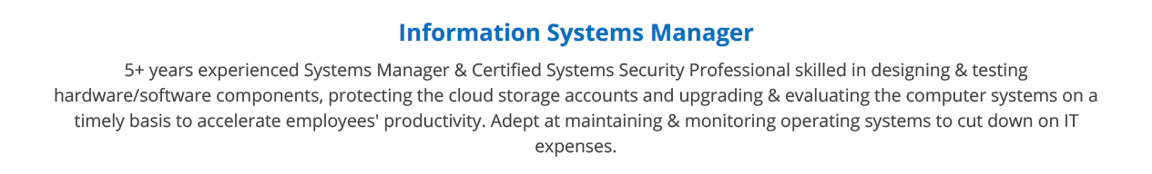 Information-Systems-Resume-Summary