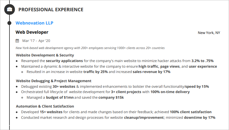 developer-resume-professional-experience
