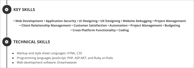 developer-resume-key-skills