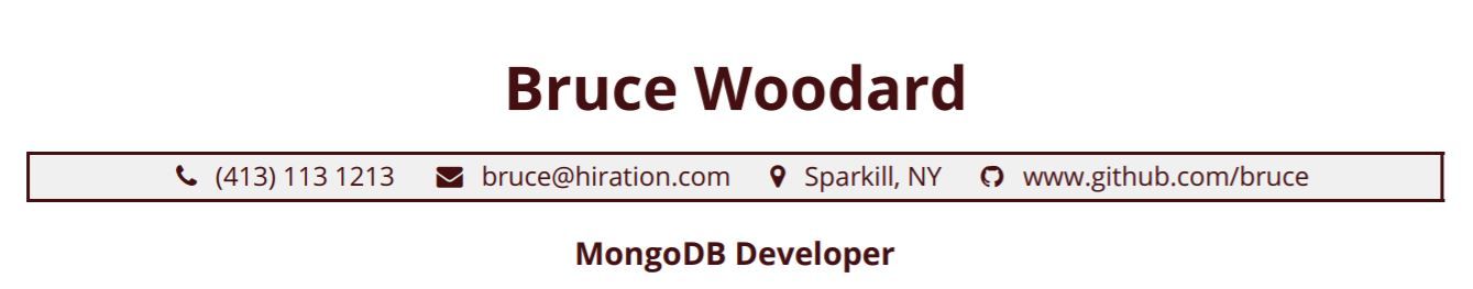 mongodb-resume-profile-title