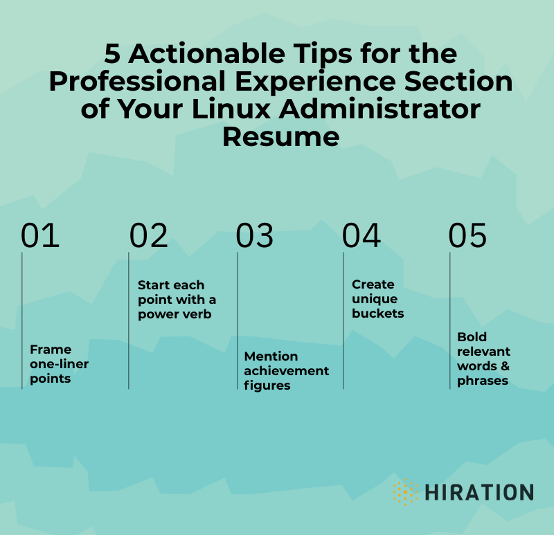 Linux-Administrator-Professional-Experience-Section