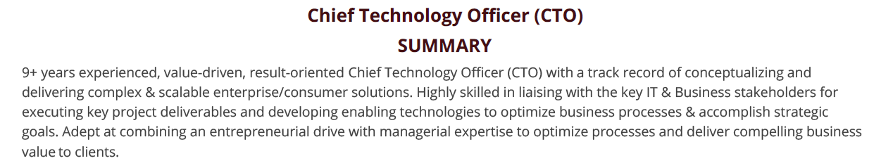 CTO-Resume-Summary
