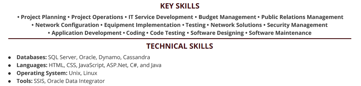 CTO Resume Blog 2023 Guide for - CTO Resume Skills.PNG