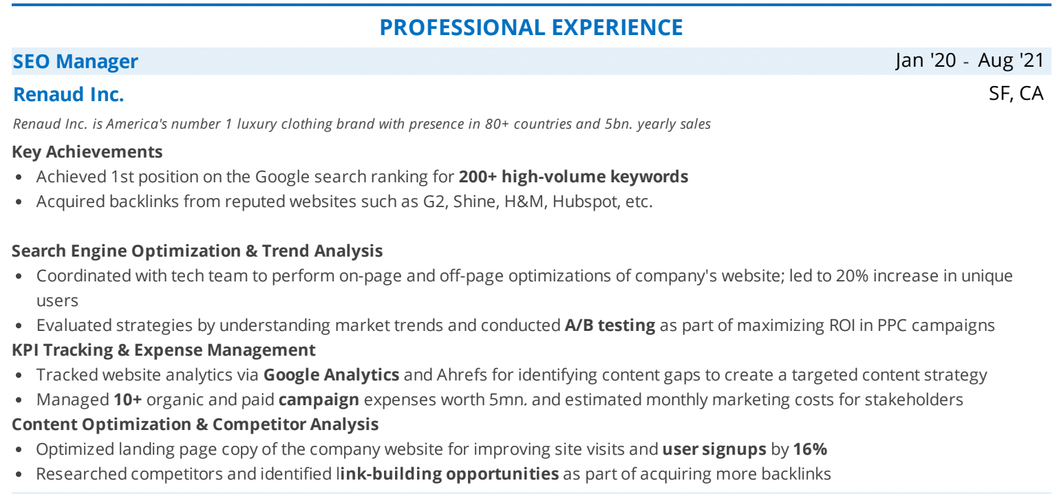 SEO-resume-professsional-experience